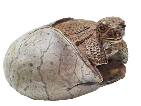 Téléchargez les photos : Jouet éclos d'une tortue oeuf. Une petite tortue dans un œuf sur fond blanc. Tortue jouet - en image libre de droit