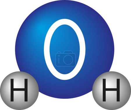 Illustration for Water molecule. Chemistry. Chemistry training - Royalty Free Image