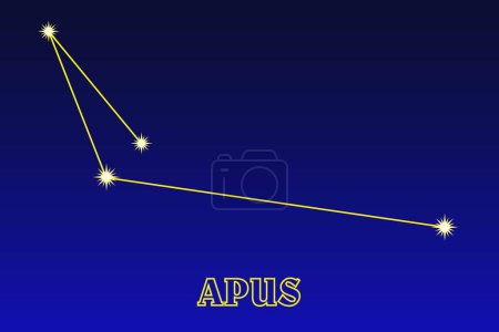 Illustration for Constellation Apus. Constellation Bird of Paradise. the near-polar constellation of the southern hemisphere of the sky. Area - 206 square degrees; contains 20 stars visible to the naked eye - Royalty Free Image
