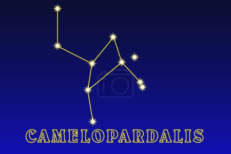 Illustration for Constellation Camelopardalis. Giraffe constellation. Large dim near-polar constellation of the northern hemisphere. Best surveillance conditions in January and February - Royalty Free Image
