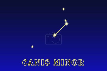 Illustration for Constellation Canis Minor. Constellation Small Dog. The equatorial constellation, borders the constellations Gemini, Unicorn, Hydra and Cancer. Best Observation Conditions January, February - Royalty Free Image