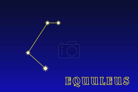 Illustration for Constellation Equuleus. Constellation Small Horse. Illustration of the constellation Equuleus. A small constellation of the northern hemisphere of the sky. Second smallest constellation by area - Royalty Free Image