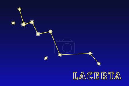 Illustration for Constellation Lacerta. Illustration of the constellation Lizard. Constellation of the northern hemisphere of the sky. Located between Lebed and Andromeda - Royalty Free Image