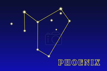 Illustration for Constellation Phoenix. Illustration of the constellation Phoenix. Constellation of the southern hemisphere of the sky. It occupies an area of   469.3 square degrees in the sky, contains 68 stars - Royalty Free Image