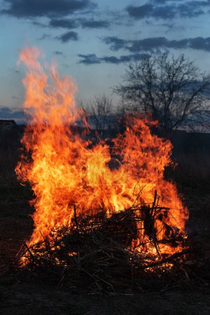 Foto de Hoguera en una parcela de campo de una casa privada. Haciendo un fuego al atardecer en una granja privada de pequeñas ramas. - Imagen libre de derechos