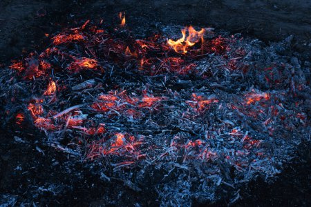 Brennende Kohlen. Verwesende Holzkohle. Die Textur glüht in Nahaufnahme. Im Hintergrund brennt Holzkohle. Brennende Kohlen eines Feuers. Schwelende Asche.