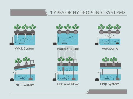 Types of hydroponic systems. Nutrient film technique, deep water culture, aquaponic, aeroponic for urban farming and agriculture 4