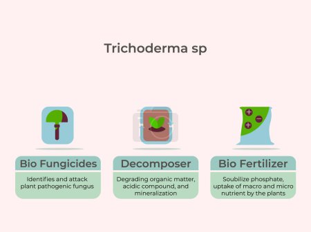 Illustration for Role of trcichoderma sp as bio fungicides, decomposer and biofertilizer - Royalty Free Image
