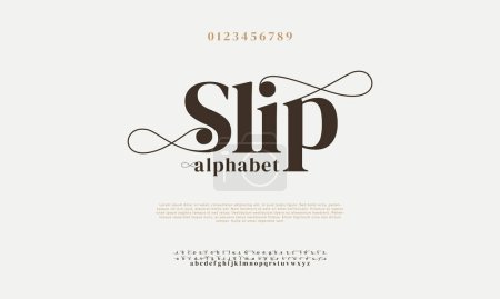 Illustration for Vector stylized alphabet and font. elegant font. - Royalty Free Image