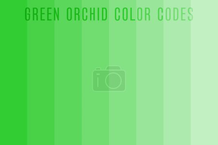 Téléchargez les photos : Couleur d'orchidée verte nuances texture de fond - en image libre de droit