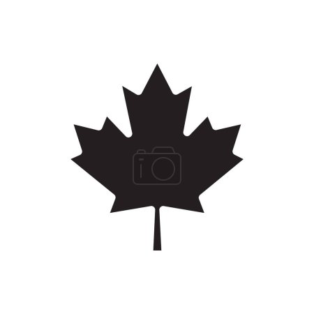 Illustration for Maple leaf icon isolated on white background - Royalty Free Image