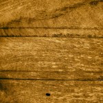 old wood background. texture of wood.