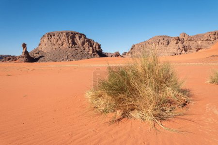 Piękny krajobraz na pustyni Sahara, tadrart, Algieria
