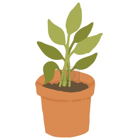 Téléchargez les illustrations : Plante d'intérieur en pot avec des feuilles dessin animé vecteur illustration - en licence libre de droit
