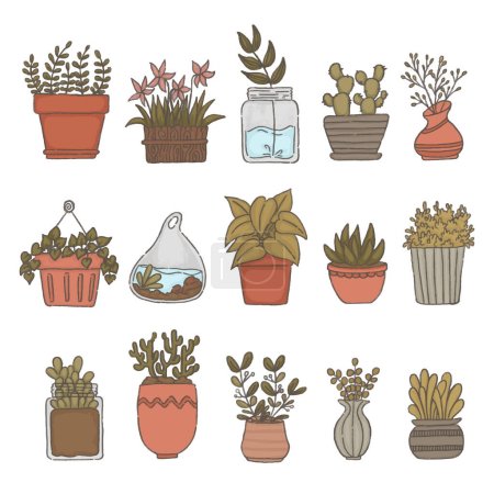 Illustration for Vector set of houseplants in pots isolated on white background - Royalty Free Image