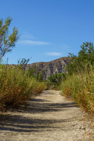 Photo for Hiking Trail in the Big Morongo Canyon Preserve in Morongo Valley, California - Royalty Free Image