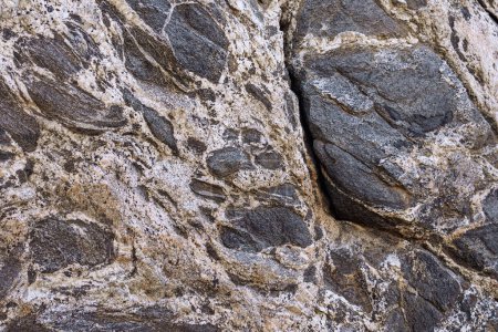 Téléchargez les photos : Fond rocheux Gneiss métamorphique avec texture et couches noires et blanches - en image libre de droit