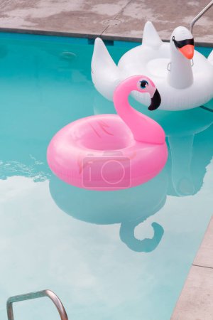 Photo for Pink Flamingo and Swan Pool Floatie in a Swimming Pool At Palm Springs, California - Royalty Free Image
