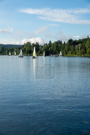 Photo for Sailboats on Lake Washington in Renton, Washington - Royalty Free Image