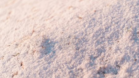 Photo for Snow granules up close in the warm morning light - Royalty Free Image