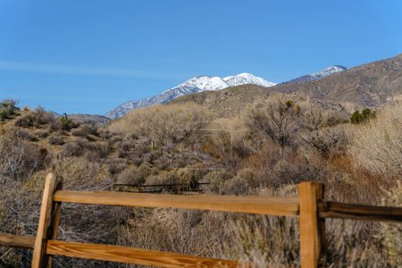 View of the snow-capped San Gorgonio Mountains from the Big Morongo Canyon Preserve - Landscape View