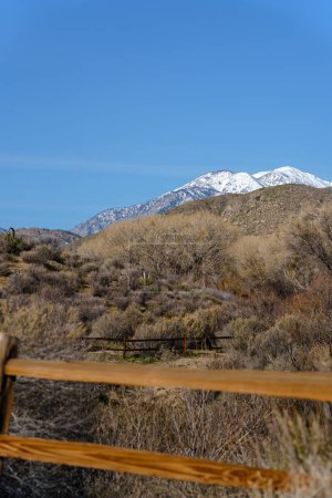 Photo for View of the snow-capped San Gorgonio Mountains from the Big Morongo Canyon Preserve - Portrait Vertical View - Royalty Free Image