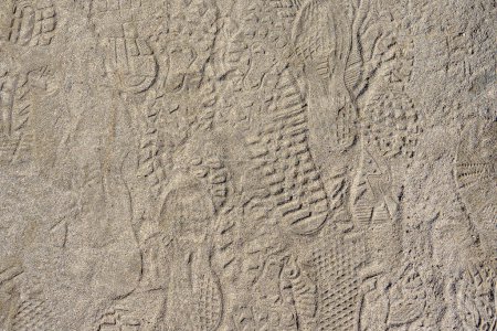 Photo for Dirt sand ground hiking path with multiple shoe footprints. Background photo texture. - Royalty Free Image
