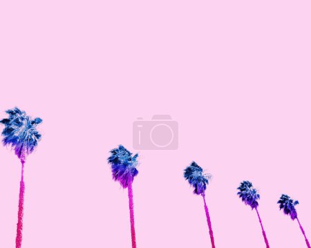 Photo for Row of palm trees with a pink sky in Southern California - Royalty Free Image