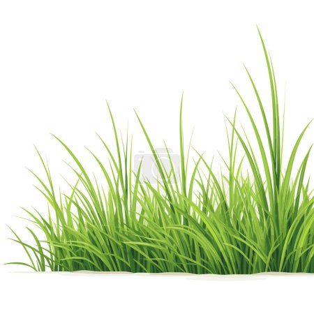 Téléchargez les illustrations : Vecteur d'herbe pour votre conception - en licence libre de droit