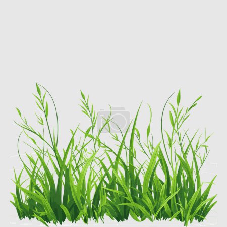 Ilustración de Diseño de vectores de hierba para su diseño - Imagen libre de derechos