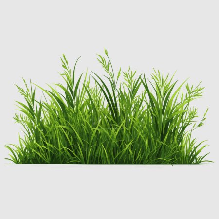 Ilustración de Diseño de vectores de hierba para su diseño - Imagen libre de derechos