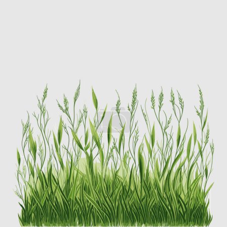 Téléchargez les illustrations : Conception vectorielle d'herbe pour votre conception - en licence libre de droit