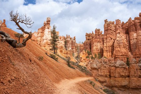 Téléchargez les photos : Vue du parc national de Bryce Canyon, Queens Garden Trail, Utah, États-Unis. Aiguilles rocheuses pointues rouges et orange. - en image libre de droit
