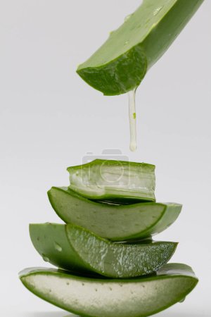 Macro shot of Aloe vera gel dripping from the leaf on the stacked aloe vera.