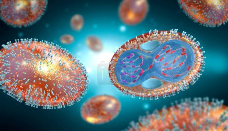 Querschnitt eines Pockenerregers mit Zellmembran, Nukleokapsid, Zellwand und Glykoproteinen - 3D-Illustration