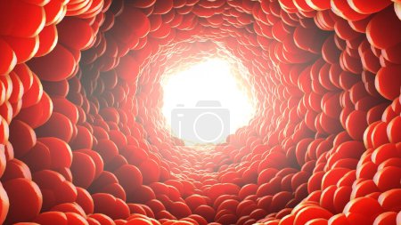 Foto de Vista a través de un vaso sanguíneo - ilustración 3d - Imagen libre de derechos