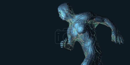 Téléchargez les photos : Corps humain transparent en mouvement avec connexions internes pour illustrer les impulsions de mouvement et les voies nerveuses Illustration 3D - en image libre de droit