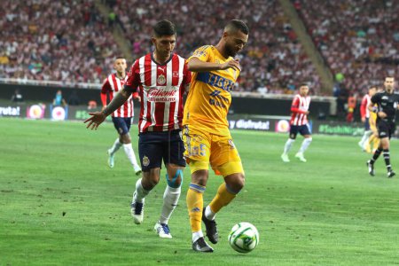 Photo for May 28, 2023, Jalisco, Mexico: Victor Guzman of Chivas of Guadalajara and Rafael de Souza of Tigres of Nuevo Leon fight for the ball during the second leg match of the Mexican football final of the MX League Closing tournament 2023 at Akron stadium - Royalty Free Image
