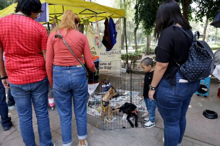 Photo for July 22, 2023, Mexico City, Mexico: Some rescued dogs on the walkways and adoption centers in The deers park in Mexico City. on July 22, 2023 in Mexico City, Mexico - Royalty Free Image