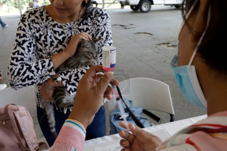 Téléchargez les photos : 27 juin 2023, Mexico, Mexique : Des personnes accompagnent leurs chiens pour les vaciller pendant la campagne de vaccination contre la rage dans un centre de vaccination sur l'esplanade de l'hôtel de ville d'Iztapalapa - en image libre de droit