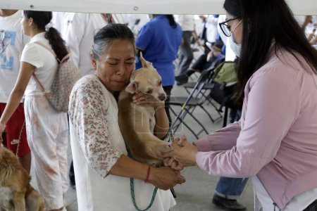 Téléchargez les photos : 27 juin 2023, Mexico, Mexique : Des personnes accompagnent leurs chiens pour les vaciller pendant la campagne de vaccination contre la rage dans un centre de vaccination sur l'esplanade de l'hôtel de ville d'Iztapalapa - en image libre de droit