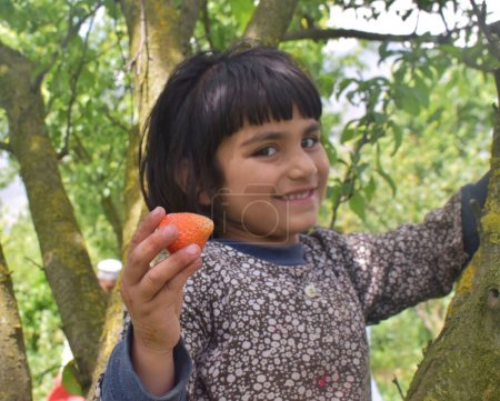 Téléchargez les photos : 17 mai 2023, Srinagar, Inde : Une fille montre des fraises lors de la récolte dans une ferme dans la zone Hazratbal de Srinagar, Jammu-et-Cachemire. le 17 mai 2023 à Srinagar, Inde - en image libre de droit