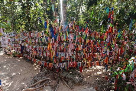 Photo for May 24, 2023 in Cancun, Mexico: General view of the ribbons left by the faithful to Mary Undoer of Knots in gratitude for their requests and miracles fulfilled in the sanctuary located in the jungle of Cancun, the only church of its kind in Mexico - Royalty Free Image