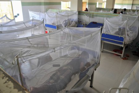 Foto de 26 Julio 2023 Sylhet-Bangladesh: Pacientes infectados con dengue bajo mosquiteros están recibiendo tratamiento en la esquina del dengue del Sylhet MAG Osmani Medical College & Hospital, Sylhet, Bangladesh - Imagen libre de derechos