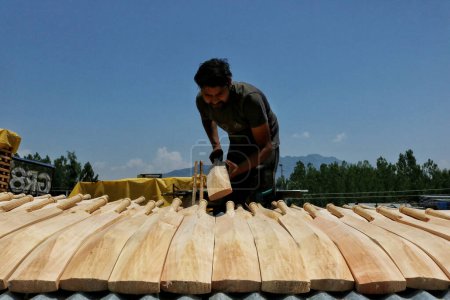 Photo for June 12,2023, Srinagar Kashmir, India : A labourer checks raw GR8 cricket bats at a manufacturing unit in Sangam, some 38 kilometers south of Srinagar. Kashmir's bat manufacturers have received an order for bats to be used during the 2023 - Royalty Free Image