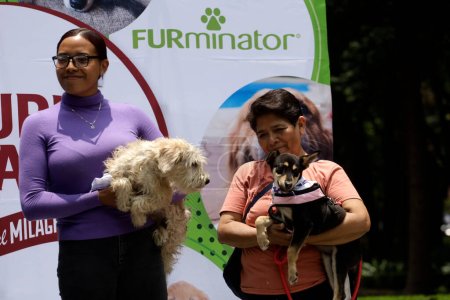 Téléchargez les photos : 22 juillet 2023, Mexico, Mexique : Des chiens sauvés sur les trottoirs et les centres d'adoption du parc des cerfs de Mexico. le 22 juillet 2023 à Mexico, Mexique - en image libre de droit