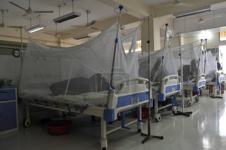 Téléchargez les photos : 11 juillet 2023 Sylhet-Bangladesh : Les personnes atteintes de dengue reçoivent un traitement au coin de la dengue du Sylhet MAG Osmani Medical College Hospital, Bangladesh. Plus de 6 patients sont actuellement sous traitement dans ce coin de la Dengue - en image libre de droit