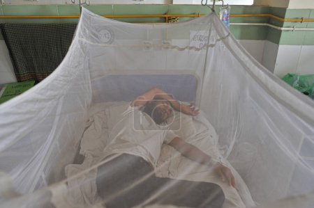Foto de 26 Julio 2023 Sylhet-Bangladesh: Los pacientes infectados con dengue bajo mosquiteros están recibiendo tratamiento en la esquina del dengue del Sylhet MAG Osmani Medical College & Hospital, Sylhet, Bangladesh. Más de 20 pacientes ingresan en el Dengue Corner - Imagen libre de derechos