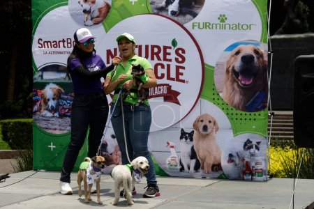 Téléchargez les photos : 22 juillet 2023, Mexico, Mexique : Des chiens sauvés sur les trottoirs et les centres d'adoption du parc des cerfs de Mexico. le 22 juillet 2023 à Mexico, Mexique - en image libre de droit