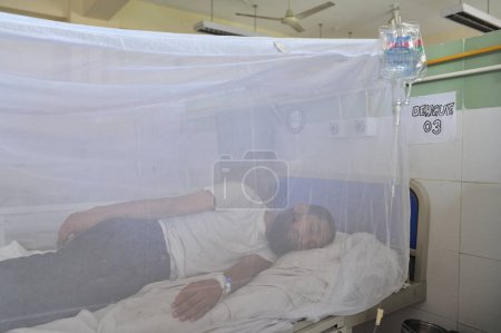 Photo for 26 July 2023 Sylhet-Bangladesh: Dengue infected Patients under mosquito nets are getting treatment at the dengue corner of Sylhet MAG Osmani Medical College & Hospital, Sylhet, Bangladesh. More than 20 patients are now admitted at the Dengue Corner - Royalty Free Image